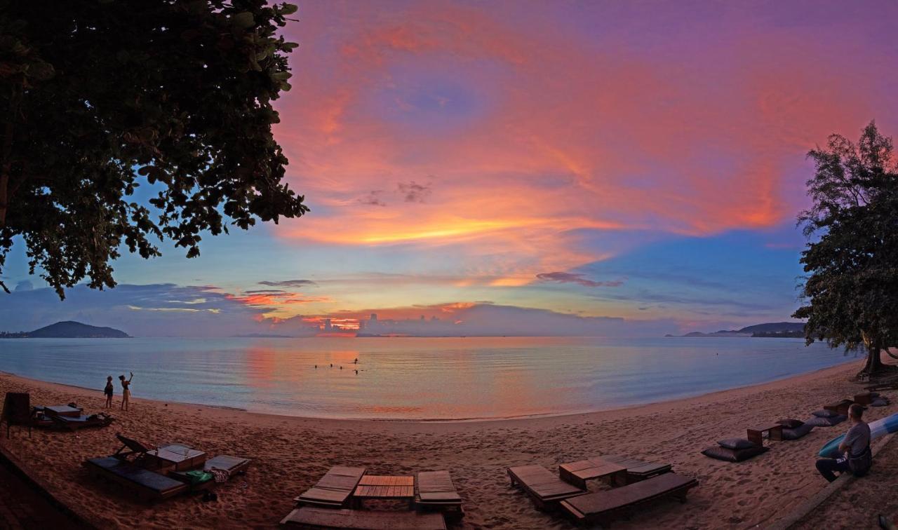 Satva Samui Yoga And Wellness Resort Amphoe Koksamui Bagian luar foto